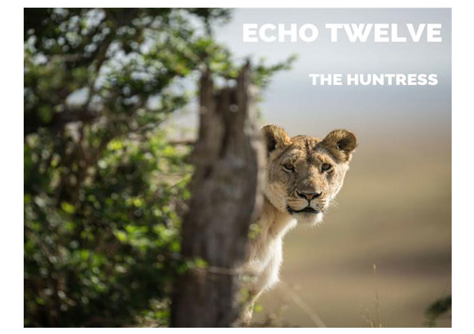 Echo Twelve: “The Huntress” ft. Eileen Jaime – a certifiable underground game-changer