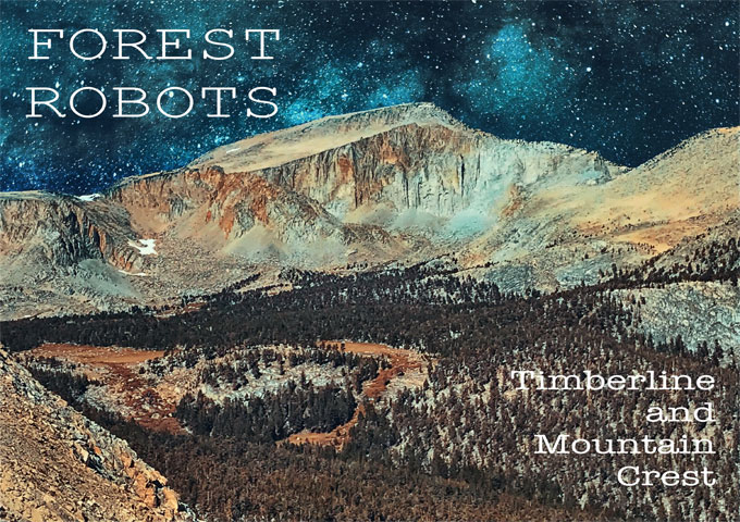 Forest Robots: “Timberline and Mountain Crest” – Inspired by natural landscapes