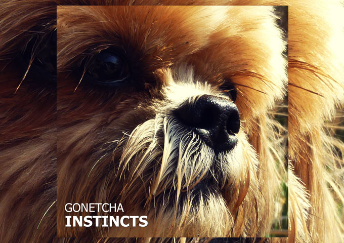 GONETCHA – “Instincts” – Stylistically carves out its own path