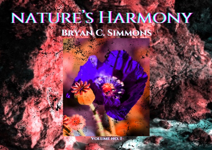 Bryan C. Simmons – “Nature’s Harmony Vol. 1” excels at creating diverse, gliding and grooving music!
