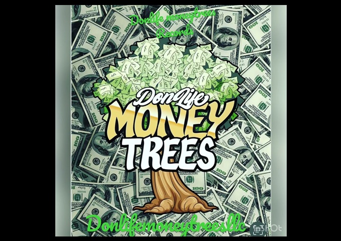 Raw and Real: The Lyrical Prowess of DONLIFEMONEYTREES